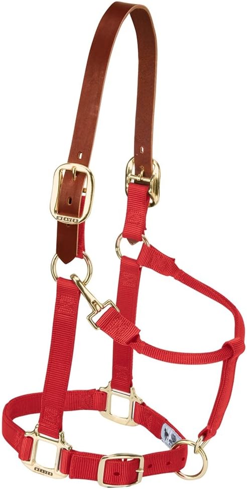 Weaver Equine Breakaway Horse Halter, Supple Leather Crown, Adjustable Chin & Throat Snap Halters for Horses, Equine Tack