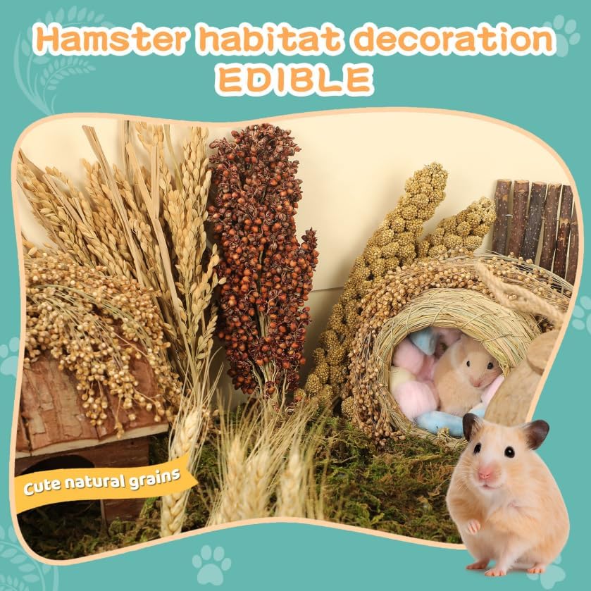 Hamster Spray Set - Natural Snack Grains & Chew Toys for Cage Decoration Accessories, Soft Bedding for Dwarf Syrian Hamsters, Gerbils, Mice & Small Pets