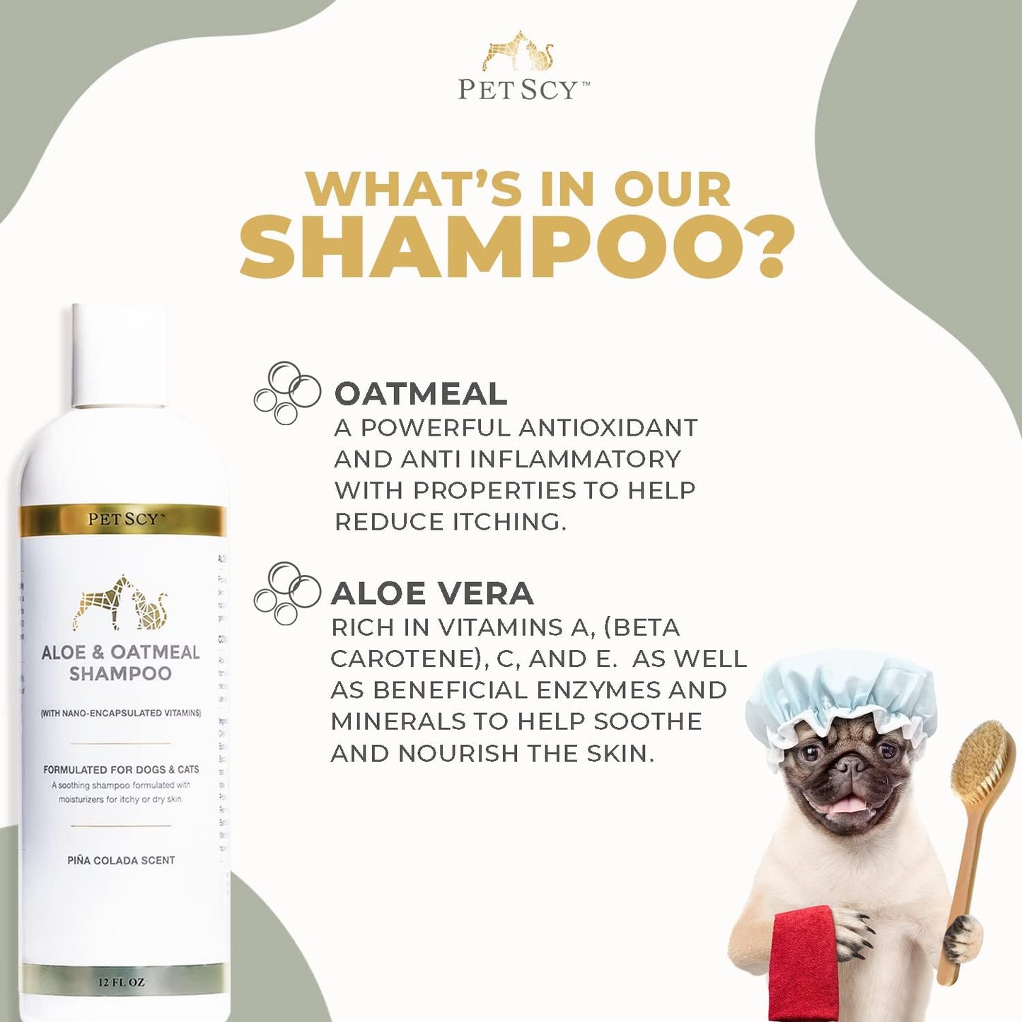 PetScy - Aloe & Oatmeal Shampoo for Dogs and Cats, Moisturizing Pet Shampoo for Skin Relief, All-Natural, Soap-Free & Gentle, Pina Colada Scent, 12 Oz