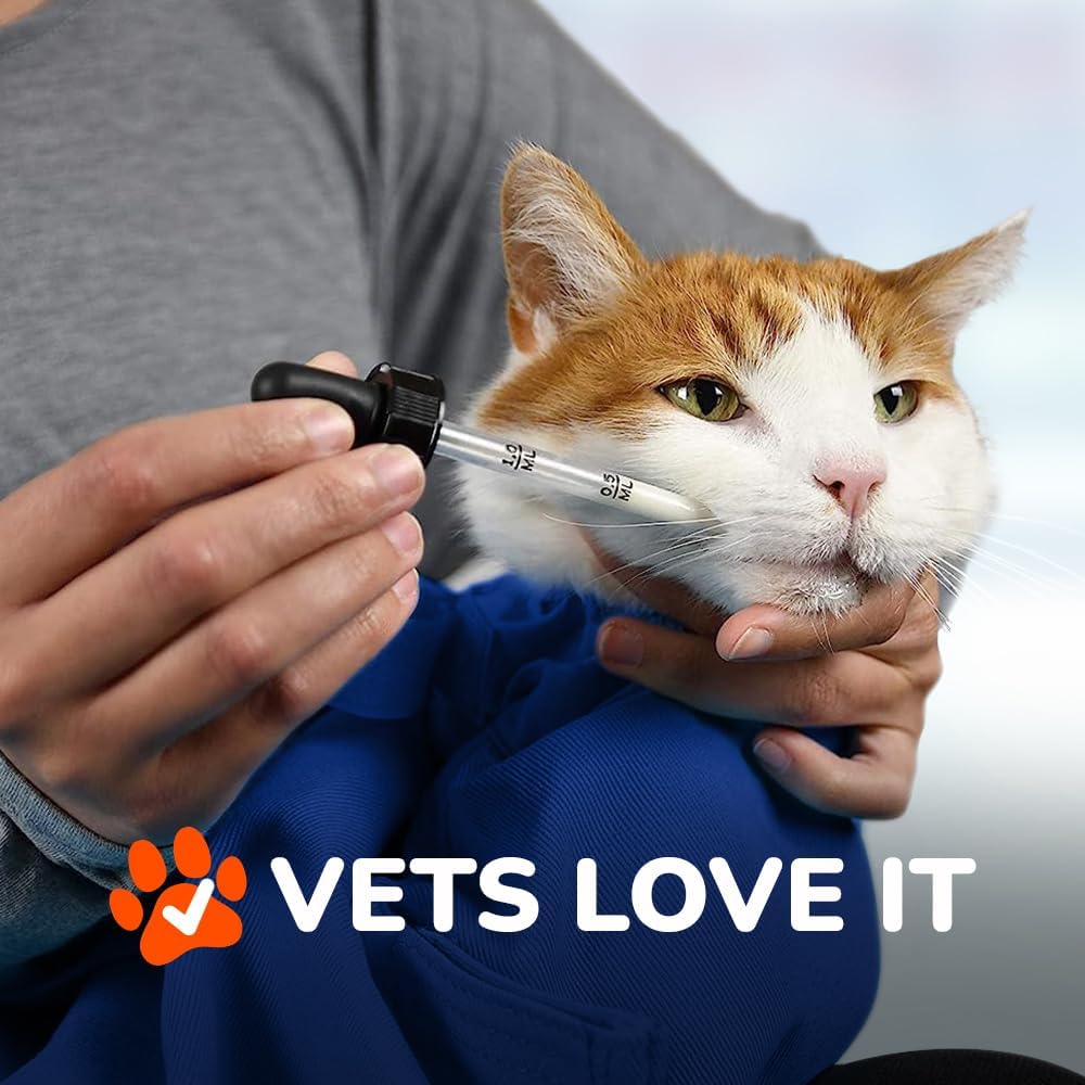 Cozy Comfort Carrier - Small Cobalt Blue Cat Carrier Soft for Grooming, Vet Visits, Medication Administration, Dental Care, Nail Trimming, and Car Travel