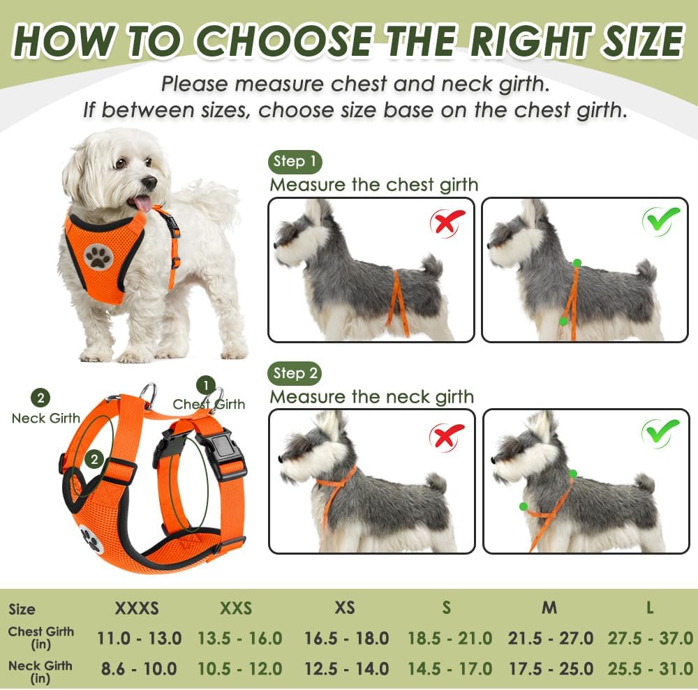 SlowTon Dog Seat Belt Harness for Car, Dog Car Harness Adjustable Mesh Breathable & Dog Seatbelt Safety Tether with Elastic Bungee for Small Medium Large Pets(Orange, Double Clip, XS)