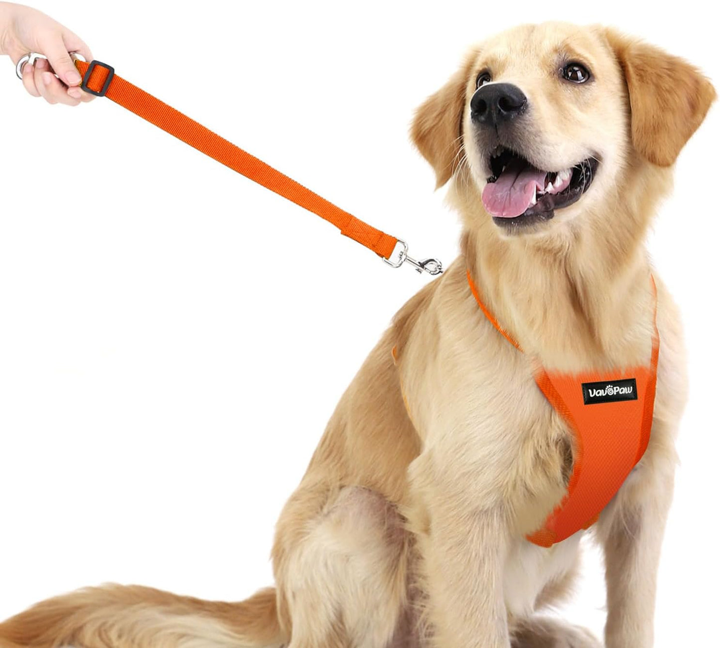 Dog Seat Belt, Safety Vest Dog Car Harness with Adjustable Buckle Dog Seat Belt for Vehicle Nylon Pet Safety Seat Belts Heavy Duty(L, Orange)