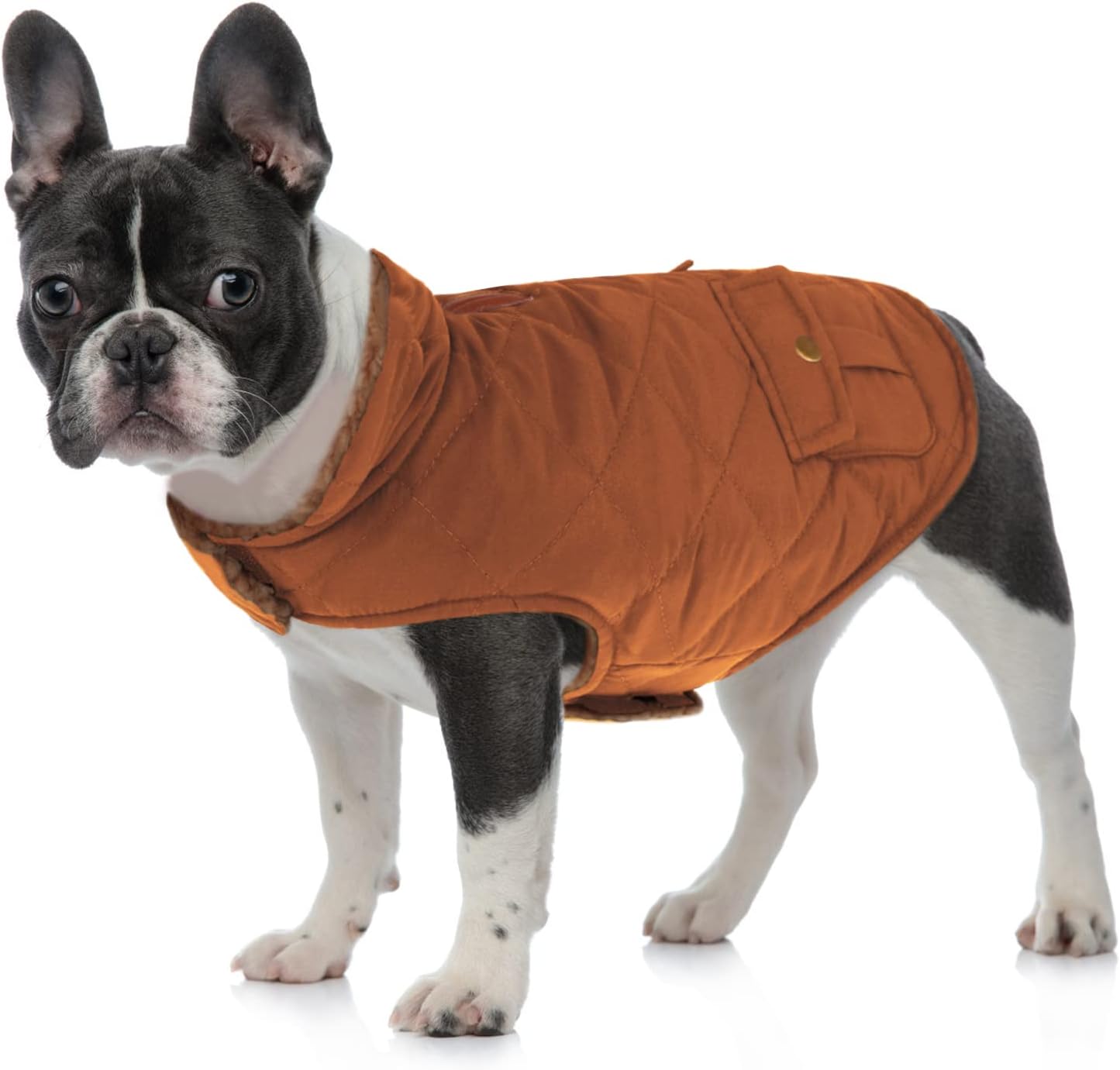 Queenmore Warm Puffer Dog Coat, Quilting Winter Jacket Ultra Thick Plush Lining with Storage Pockets (Brown, Small)