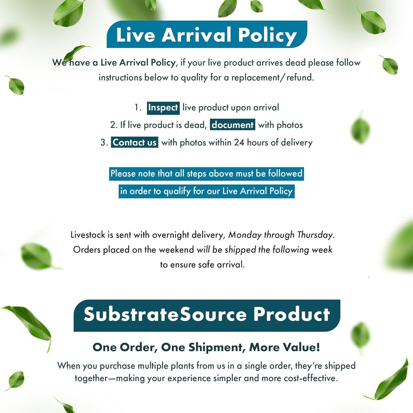 SubstrateSource Live Plants - Lagenandra Meeboldii Red (Lagenandra meeboldii) - Moderate to High Light Tank Display, Red to Bronze Accent, Midground Placement, Freshwater Aquatic Plant - Pot