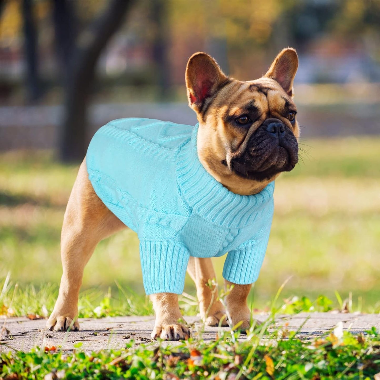 Queenmore Small Dog Pullover Sweater, Cold Weather Cable Knitwear, Classic Turtleneck Thick Warm Clothes for Chihuahua, Bulldog, Dachshund, Pug (Sky Blue, X-Small)