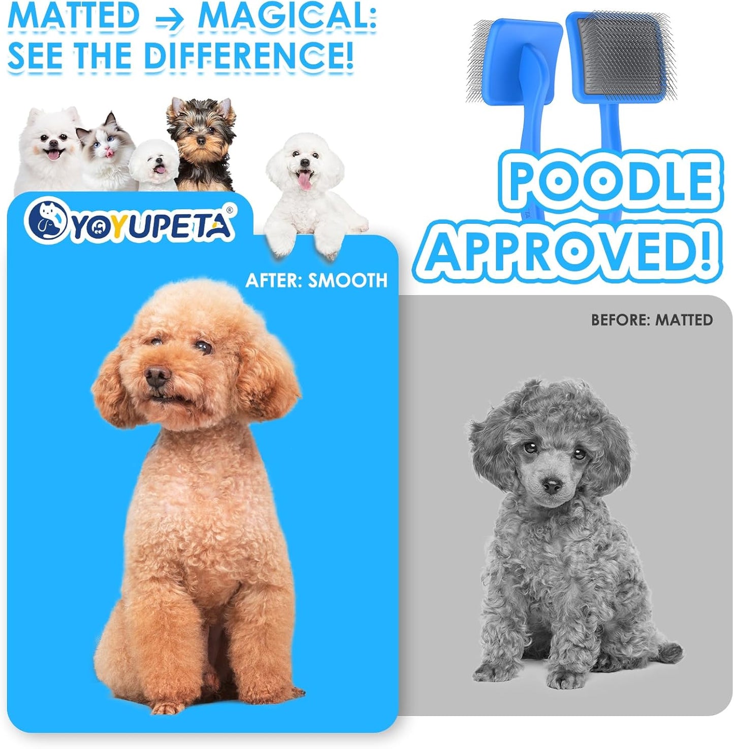 Large Slicker Brush for Dogs - 3PC Pet Grooming Kit - Undercoat Rake & Stainless Comb | Long Pins Remove Mats on Poodles, Golden, Labradoodles | Thick Coat Deshedder for Dogs, Cats, Blue