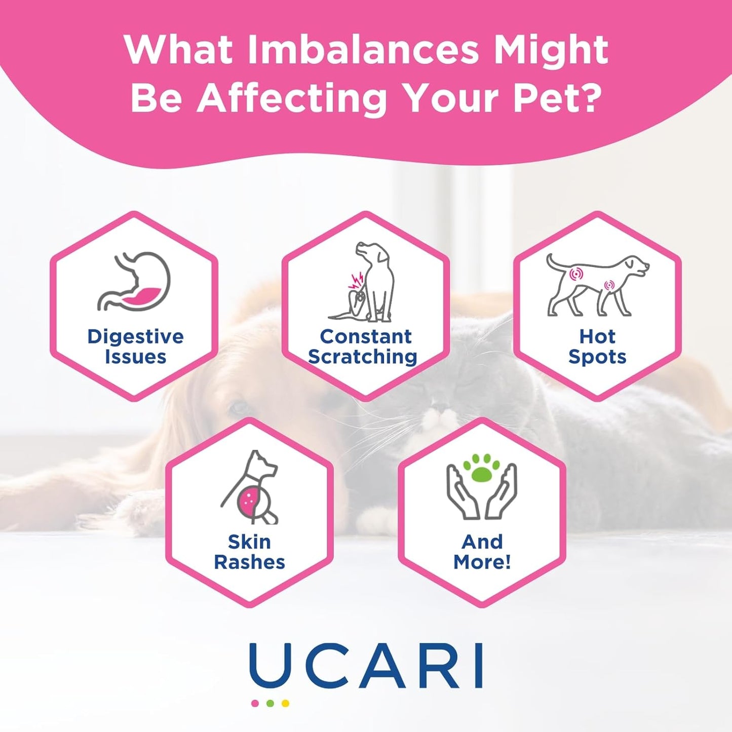UCARI Pet Sensitivity Test | Screens for 1000+ Intolerances | Food & Environment Analysis | Painless Home Test Hair Sample Method | Results in 48 Hours | Cats & Dogs