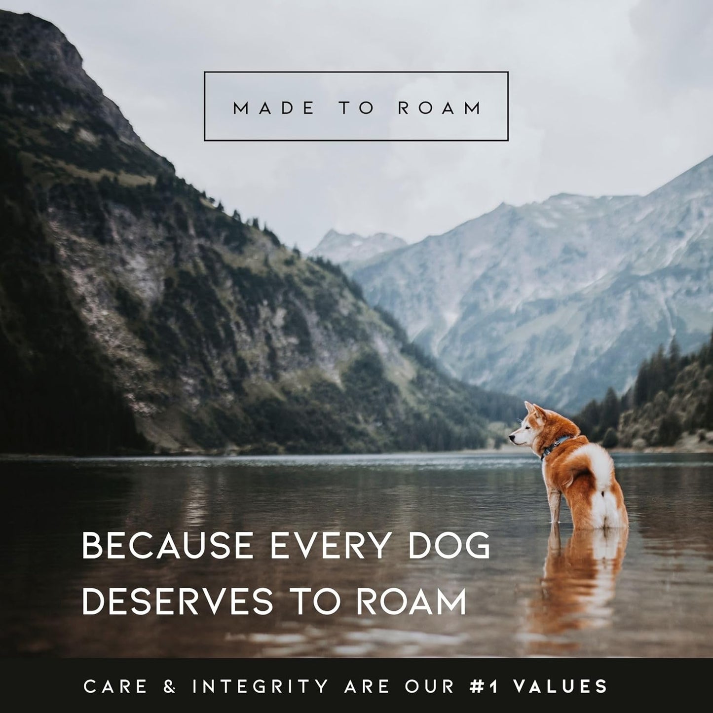 MADE TO ROAM Premium Explorer Harness - Y-Shaped Dog Harness with Adjustable Durable Nylon, Soft Padding, Metal Buckles and Leather Handle for Small, Medium, Large Dogs (Washington Rain, Size 7)