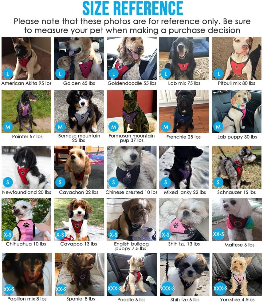 Lukovee Dog Seat Belt for Car, Adjustable Dog Car Harness for Large Medium Small Dogs, Soft Padded & Breathable Mesh Dog Seatbelt with Car Strap and Carabiner(Rose Double Clip,Large)