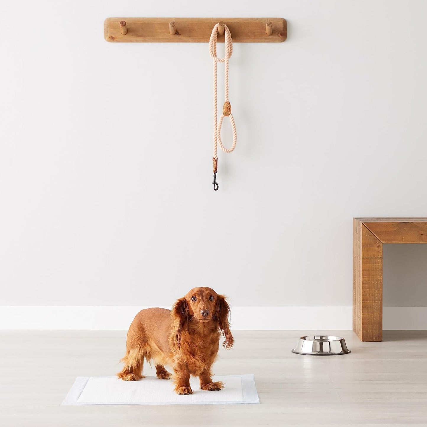 Amazon Basics Scented Dog and Puppy Pee Pads, 5-Layer Leak-Proof Super Absorbent, Quick-Dry Surface, Potty Training, Regular (22x22"), 100 Count, Blue & White