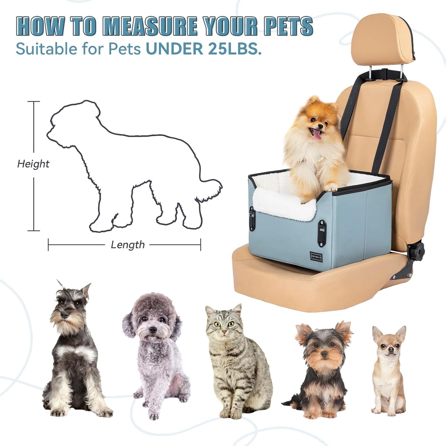 PETSFIT Dog Car Seats for Small Dogs, Patent Safe Buckles Dog Booster Car Seat, Pet Car Seat with Safety Belt, Suitable for Small Pets Up to 25lbs (Mint Green)