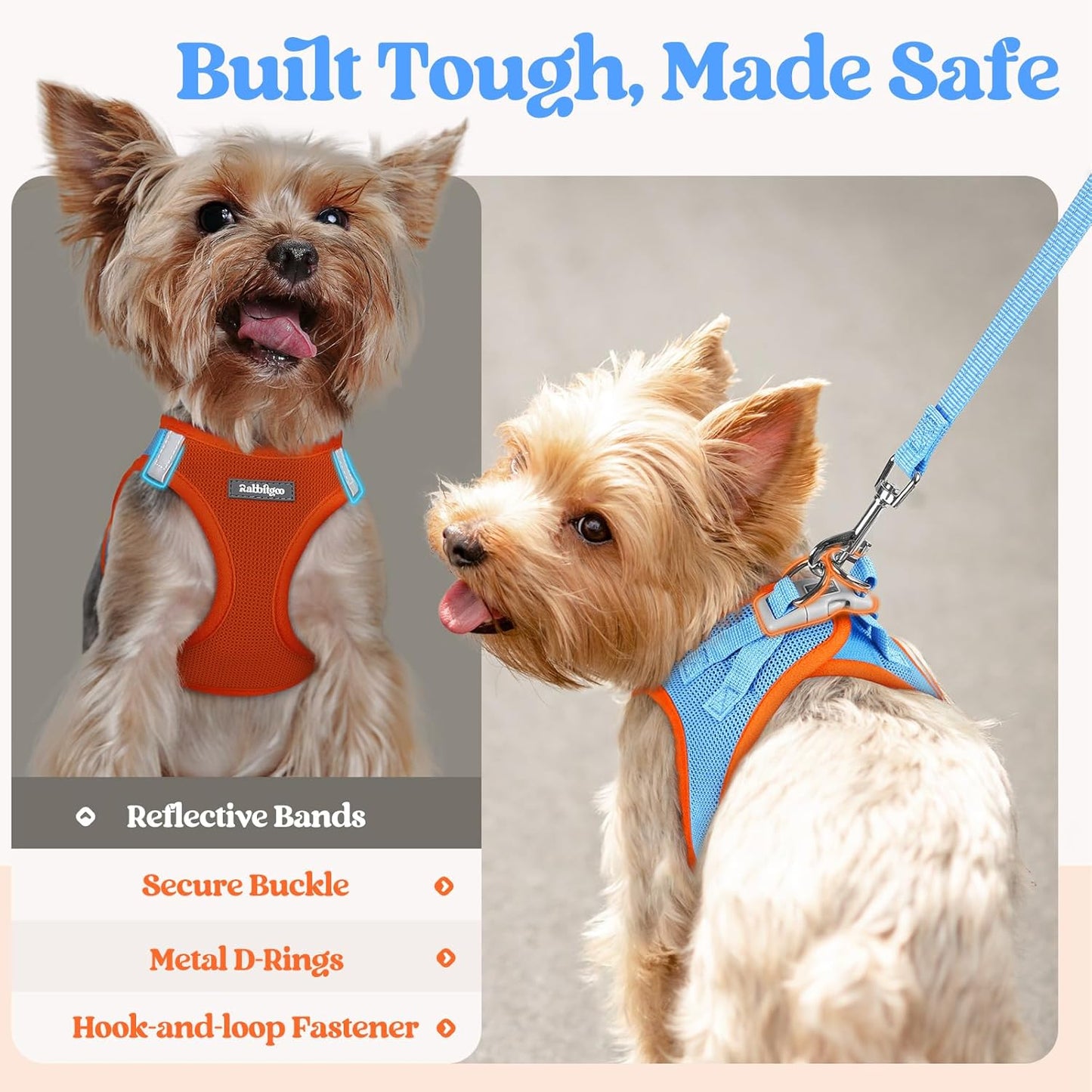 rabbitgoo Dog Harness Small Sized and Leash Set, Step in Soft Light Puppy Vest, Breathable Mesh Pet Harness, Reflective for Safe Easy Walking, Blue & Orange XXXS
