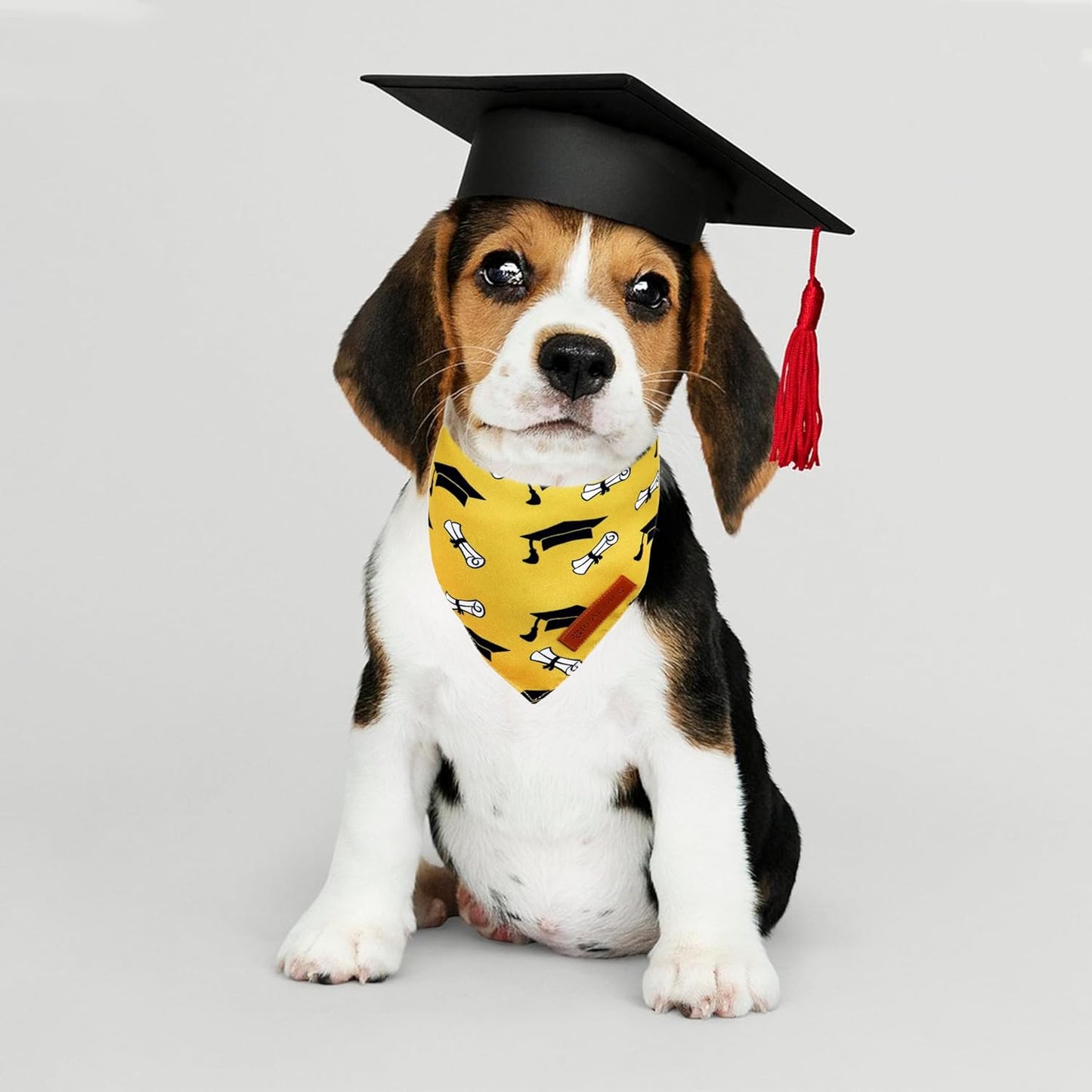 Realeaf Graduation Dog Bandanas 2 Pack, Reversible Pet Scarf for Boy and Girl, Premium Durable Fabric, Holiday Bandana for Small Medium Large and XLarge Dogs (Graduation, X-Large)