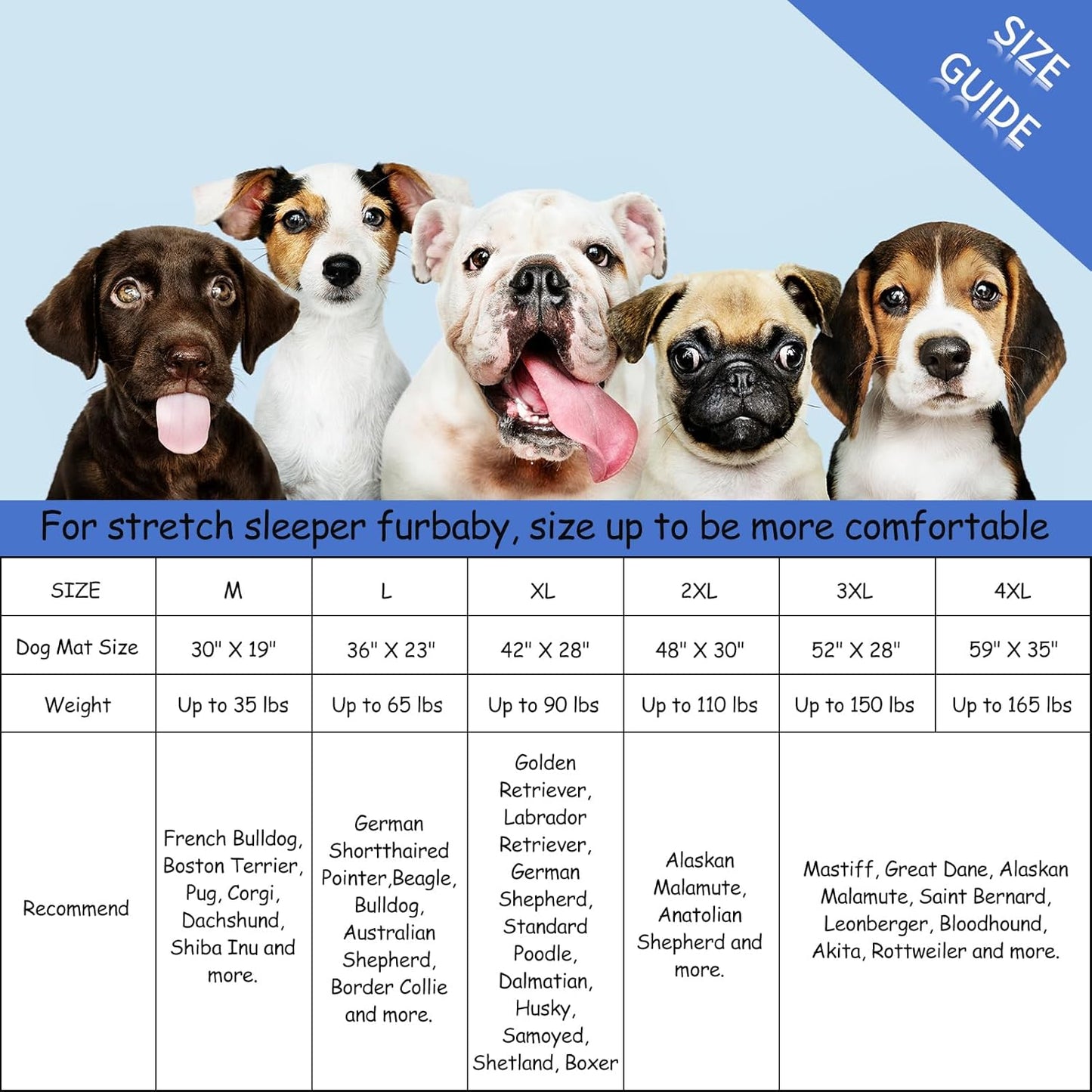 Bubble bear Dog Crate Mat - Upgraded Thick, Ultra Soft, Washable & Anti-Slip Kennel Pad for Small/Medium/Large Dogs, Dark-Hued to Hide Stains (36"x23")