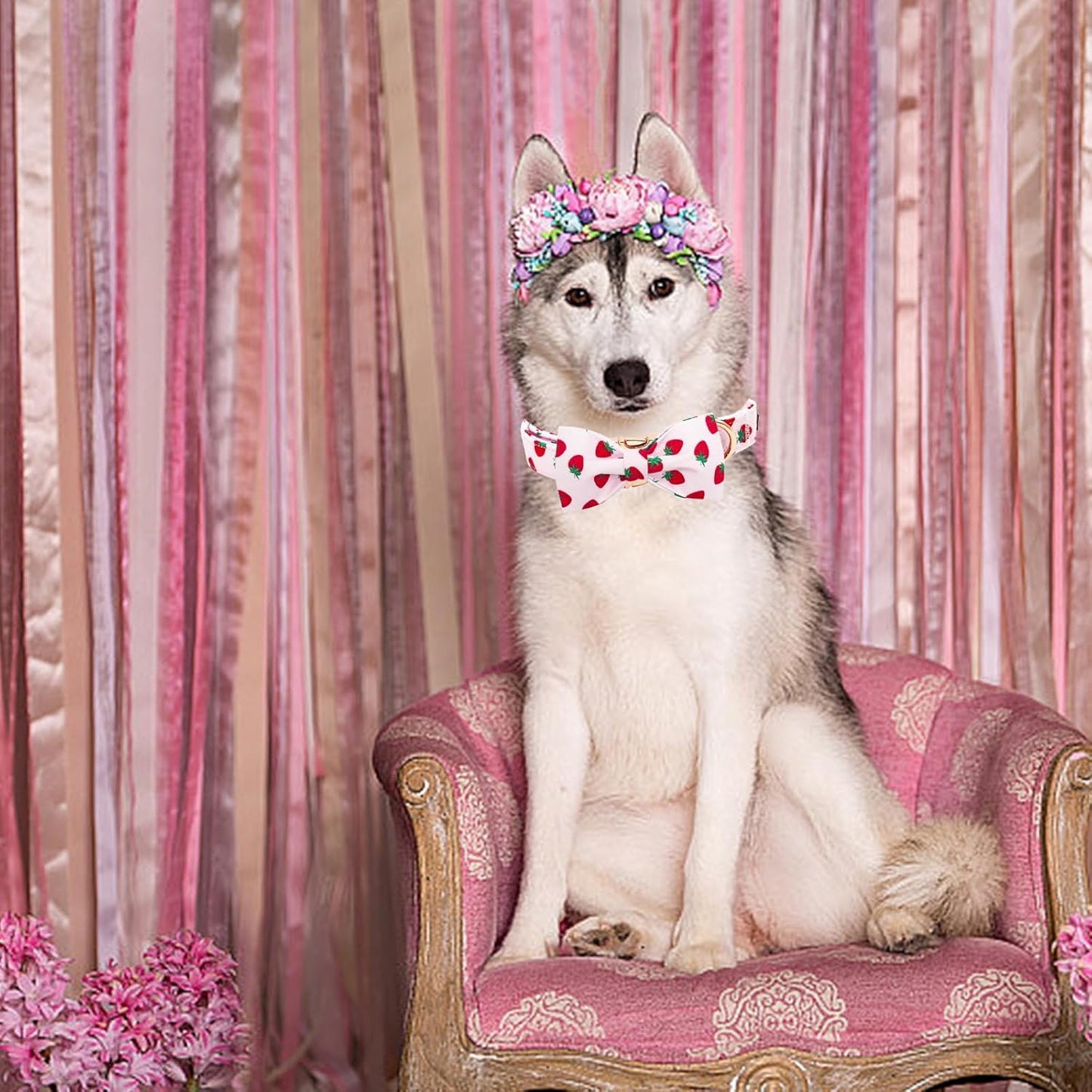 Elegant little tail Dog Collar, Strawberries Print Pet Collar Summer Dog Collar Durable Metal Buckle Dog Collars Cotton Pet Adjustable Dog Collars for Medium Dogs