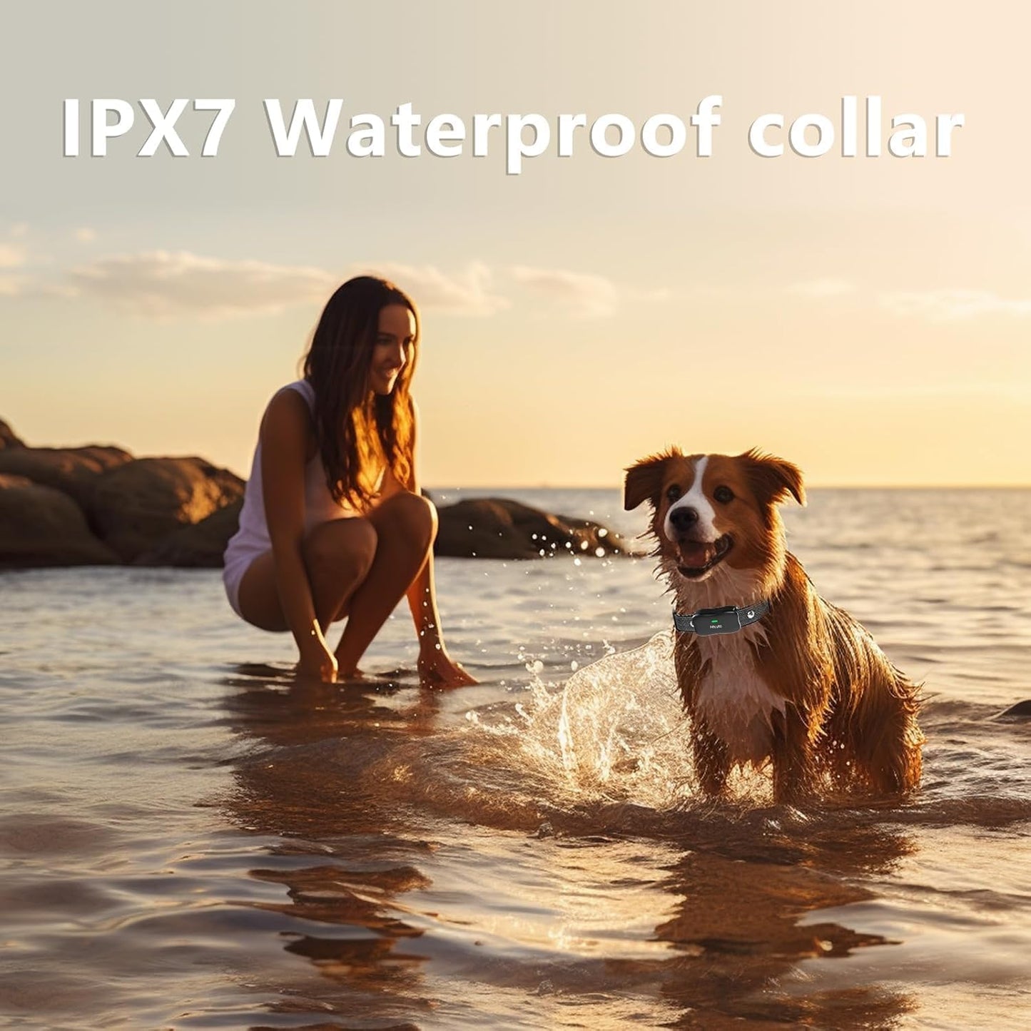 Wireless Dog Fence, 3500FT Fence Range, 6100FT Remote Training, 185 Days Rechargeable, IPX7 Waterproof Collar, 3 Training Modes (Black 2 Dogs)