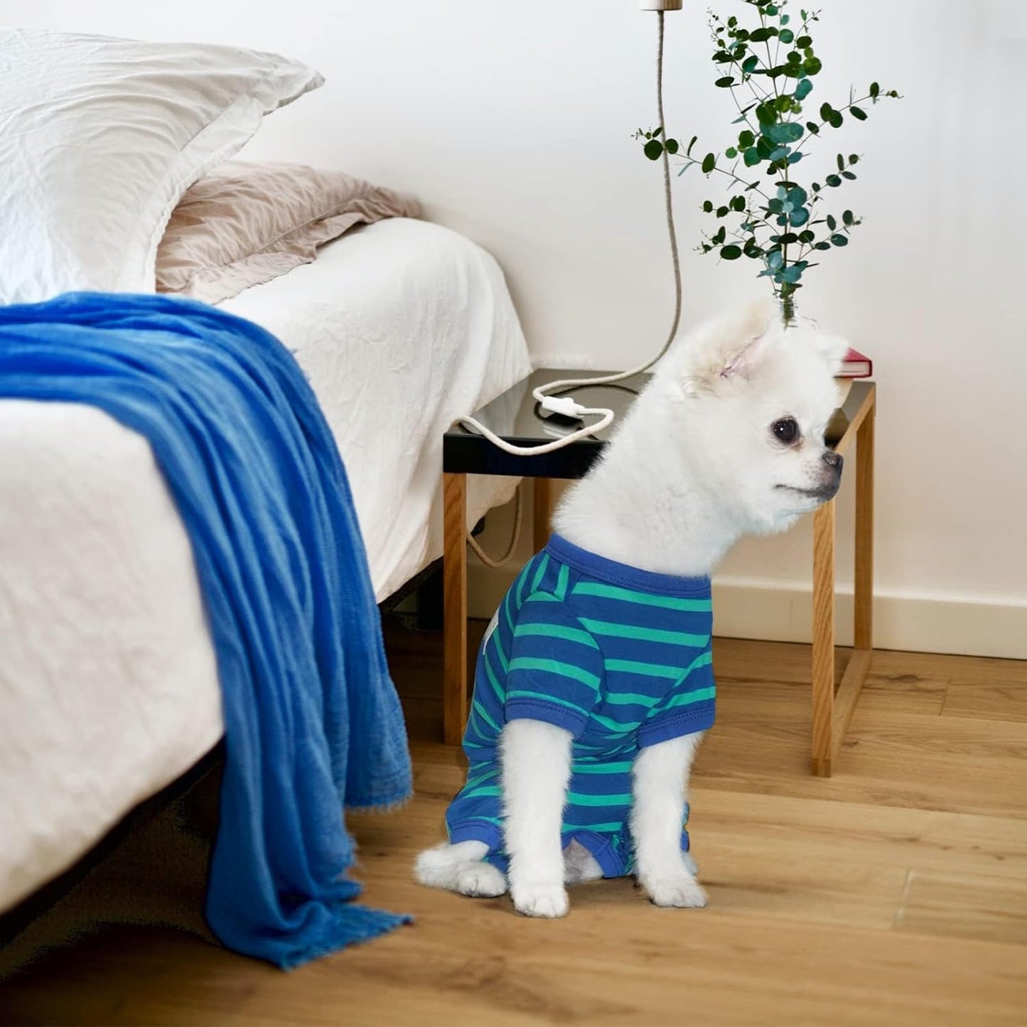 TONY HOBY Dog Pajamas for Female/Male, Dog Jumpsuit with Stripes for Small Medium Dogs, Soft and Comfortable 4 Legged Pajamas Dogs Clothes (Blue&Green, Boy, XS)