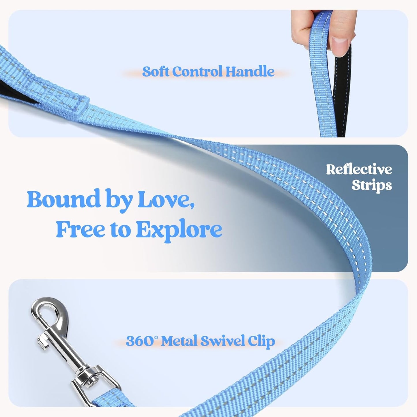 rabbitgoo Dog Harness Small Sized and Leash Set, Step in Soft Light Puppy Vest, Breathable Mesh Pet Harness, Reflective for Safe Easy Walking, Blue & Orange XXS