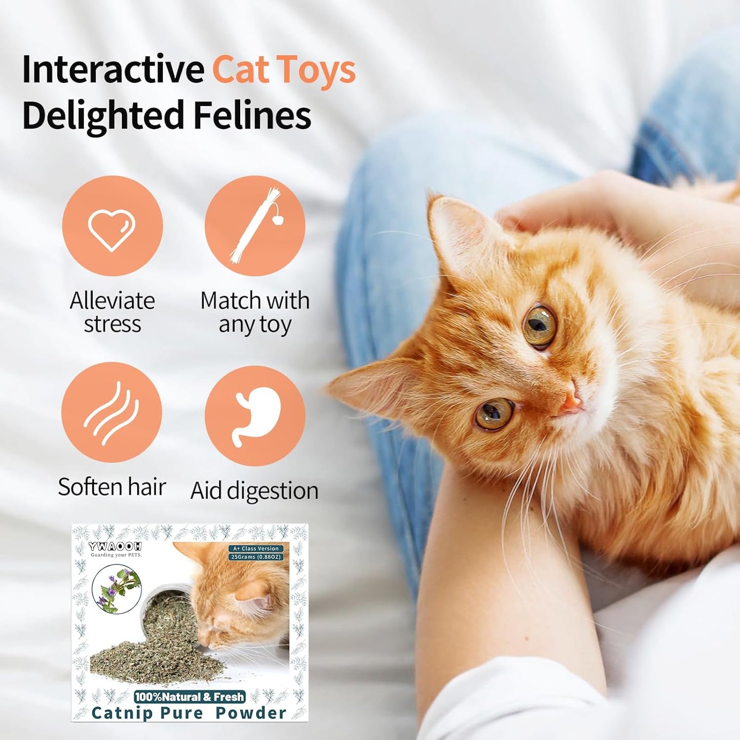 Premium Catnip for Cats & Kittens – Cold-Processed, High Potency Nepetalactone, 100% Pure Organic Leaf-Only Catnip for Toys, Scratchers, Refills, Stimulates Play & Protects Furniture - 25g