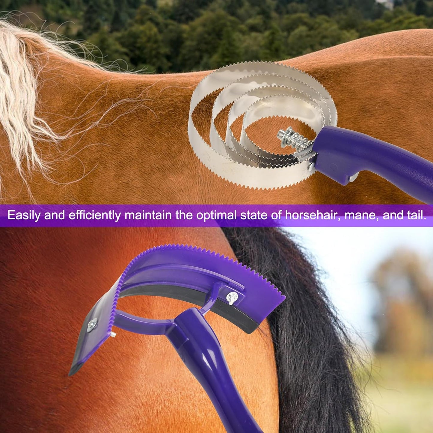 Horse Grooming Kit - 11 Piece Bathing Supplies with Organize Bag, Full Body Kit Including Sweat Scraper, Bath Sponge, Hoof Pick, Massage Comb (Purple)