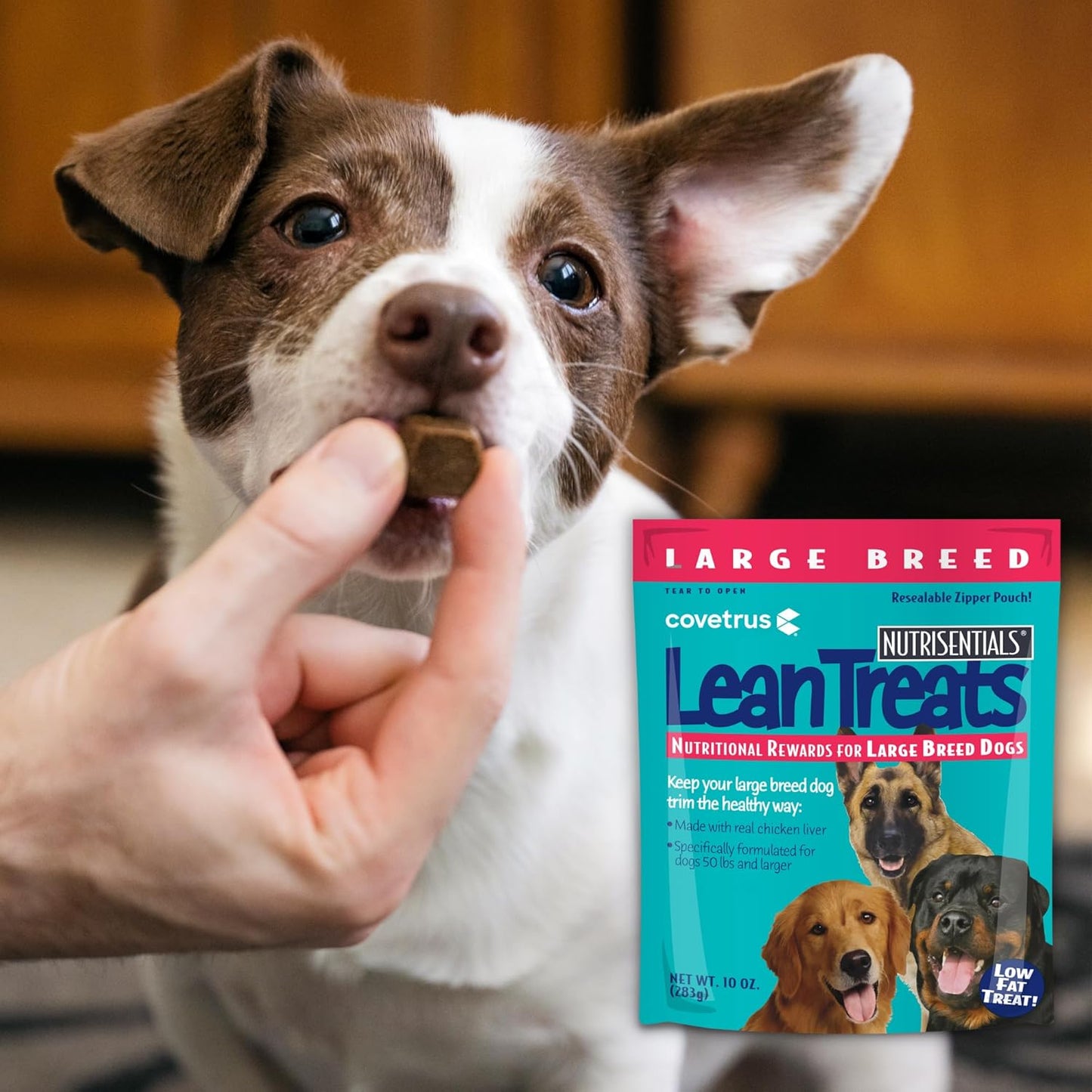 Covetrus Nutrisential Lean Treats for Large Dogs - Soft Dog Treats for Large Dogs - Nutritional Low Fat Bite Size - Chicken Flavor - 10oz - 8 Pack