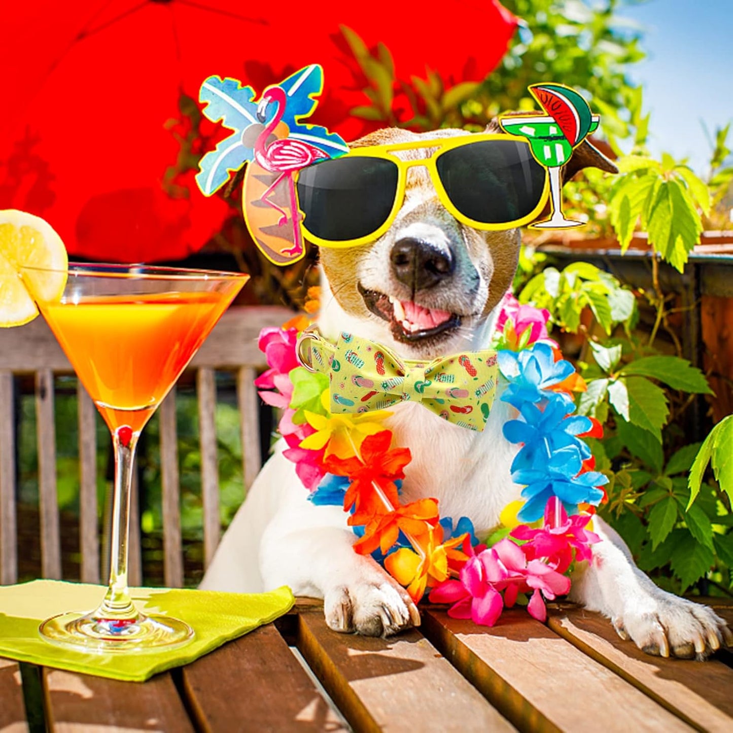 Elegant Little Tail Bowtie Dog Collar - Summer Cute Bow for Small to Large Dogs