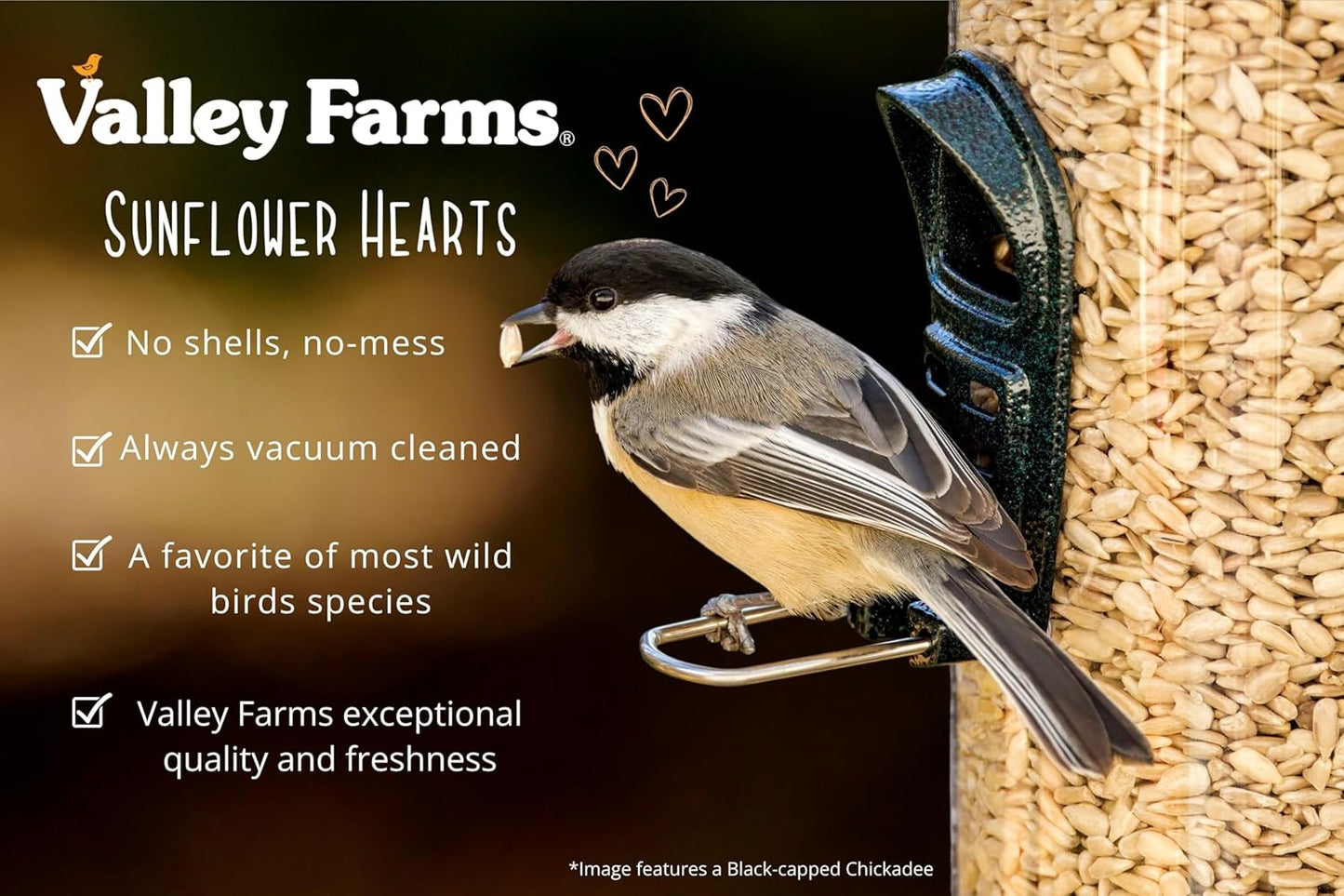 Valley Farms Whole Sunflower Hearts for Birds (15 LB) Clean Shelled Sunflower Seeds, No Mess Wild Bird Seed for Outside Feeders