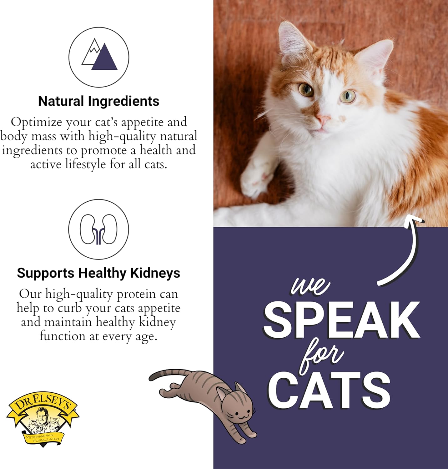 Dr. Elsey's cleanprotein Protein Bites Chicken 12 oz..