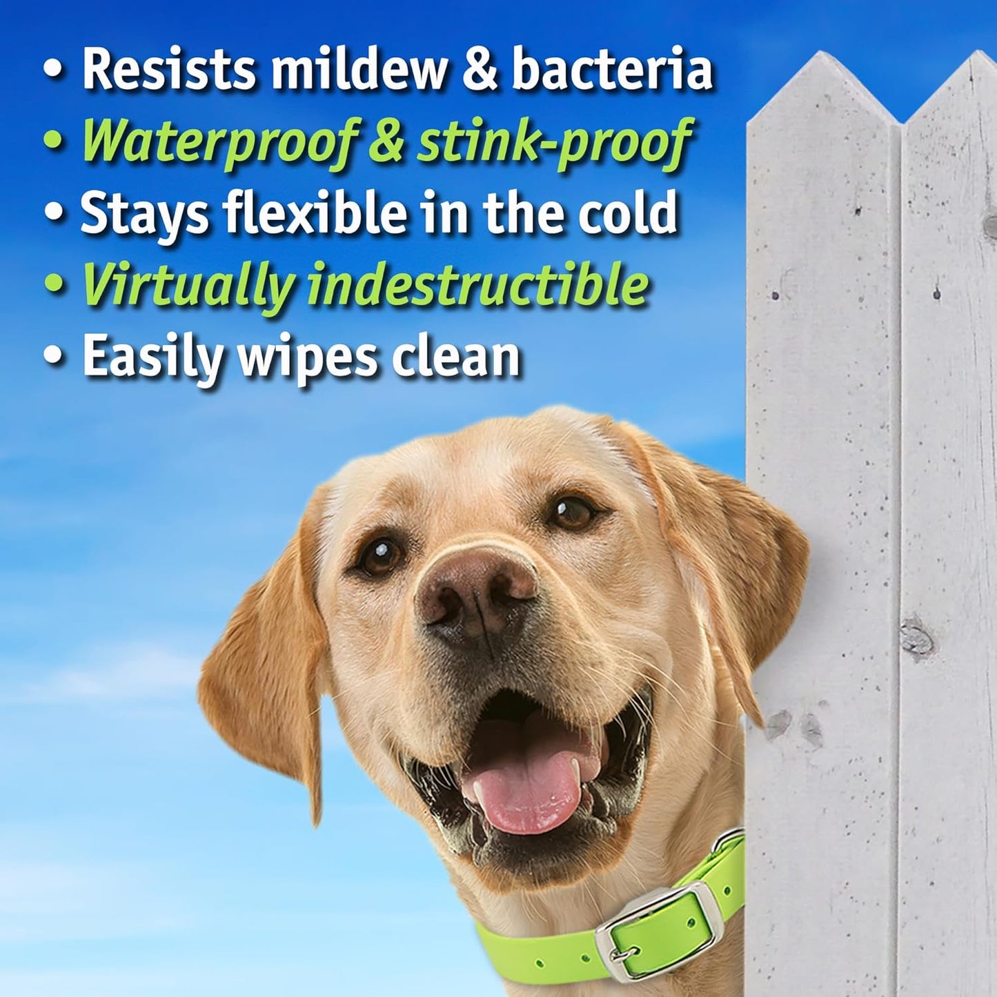 Biothane Custom Dog Collar – Waterproof, Stink-Proof Personalized Collar with Name & Phone Number – Durable, Many Sizes and Colors – Assembled in USA (Bright Yellow)