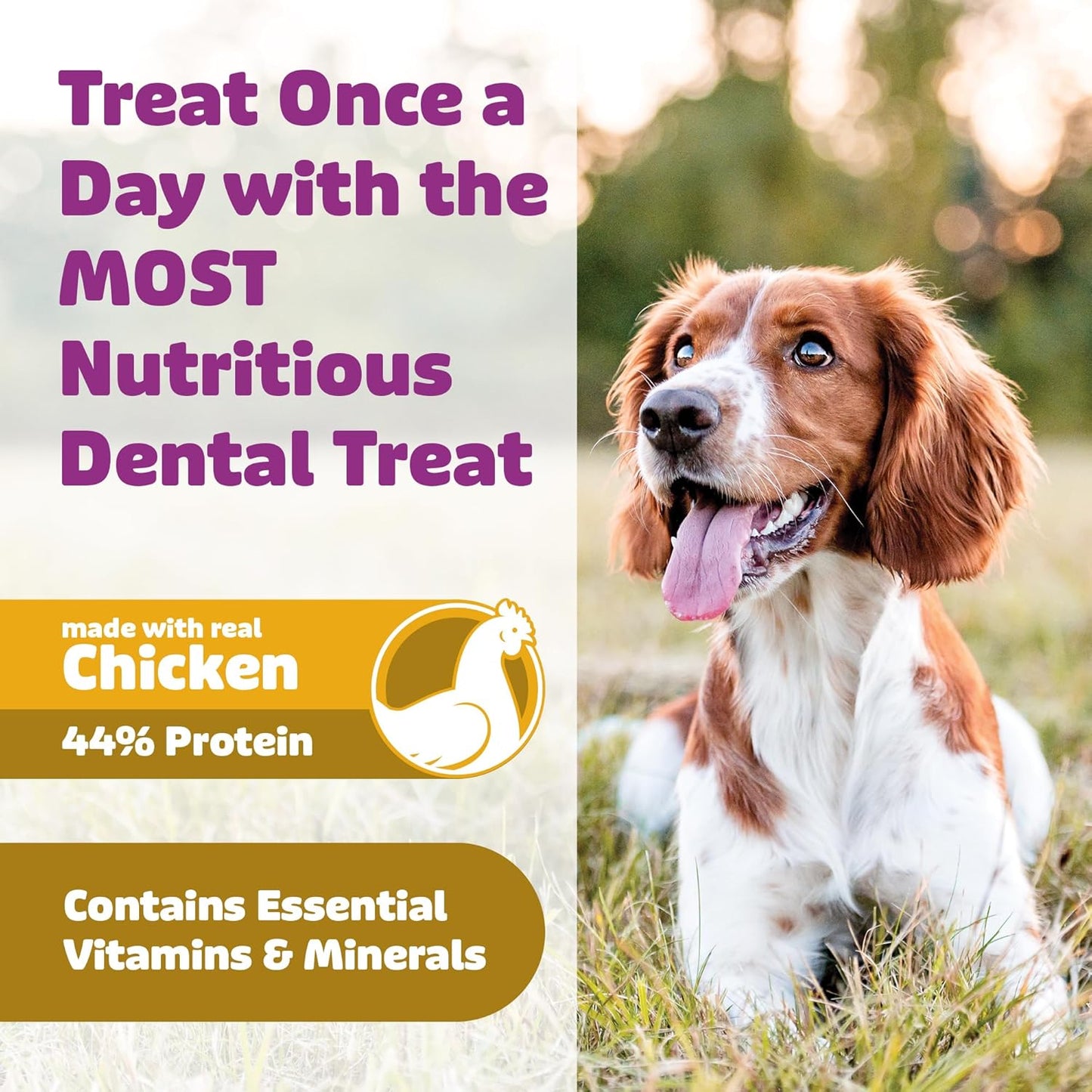 Dog Dental Treats – Vet VOHC Approved, Removes Tartar & Cleans Teeth – Yummy High Protein Chicken Treat for Extra Small Dogs (Mini Pack, 30 Count)