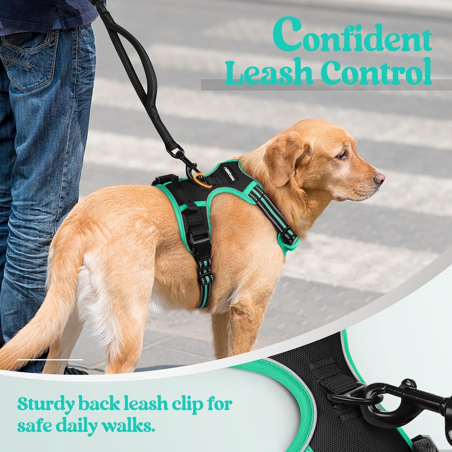 rabbitgoo Dog Harness No Pull with 2 Leash Clips, Adjustable Soft Padded, Reflective Oxford No Choke Pet Vest with Easy Control Handle for Small Dogs, Black & Turquoise, S