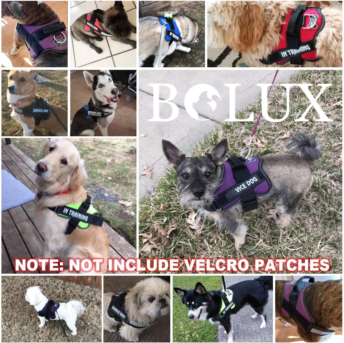 Bolux Dog Harness, No-Pull Reflective Dog Vest, Breathable Adjustable Pet Harness with Handle for Outdoor Walking - No More Pulling, Tugging or Choking (Dark Green, S)