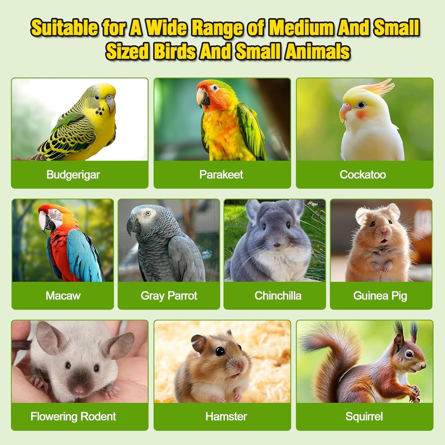 2PCS 13.8x7.9 inches Large Bird Perch Stand Wooden Parakeet Stand Platform Parrot Cage Accessories Rectangle Corner Stand Perch Shelf for Budgie Cockatiel Conure Macaw African Grey Chinchilla