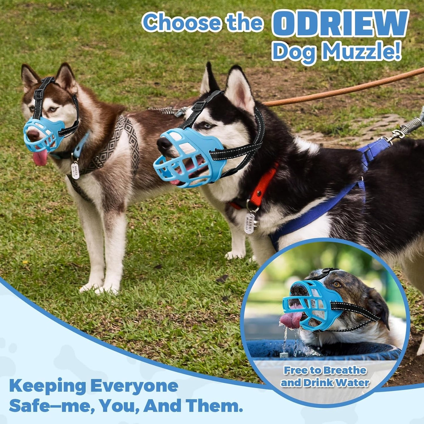 Dog Muzzle for Large Dogs, Breathable Basket Muzzles for Small, Medium and X-Large Aggressive Dog, Allows Panting Drinking, Suitable for Grooming Trimming Training (3, Luminous Blue)