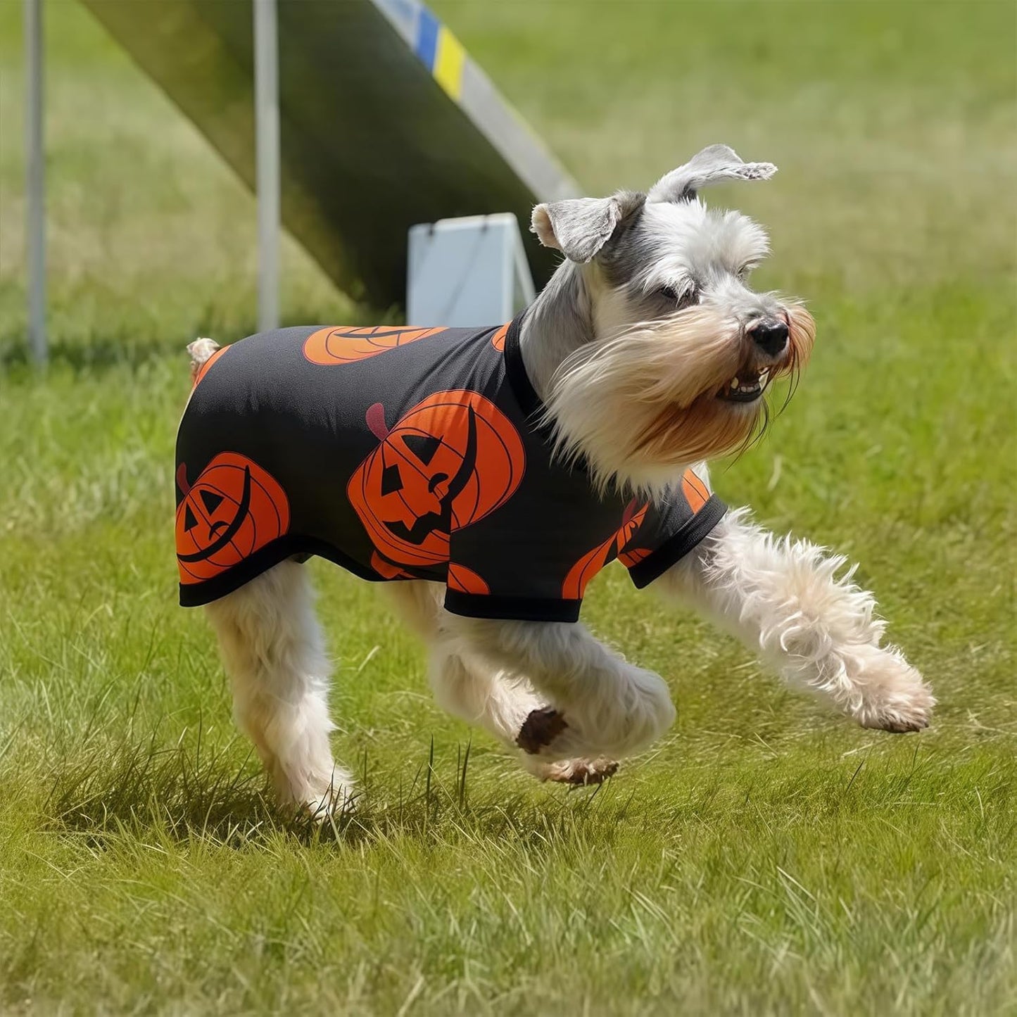 Matching Family Christmas Pajamas Set - Xmas Sleepwear PJs