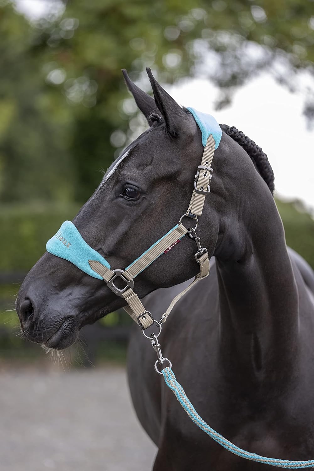 LeMieux Vogue Fleece Headcollar - Halter & Leadrope - Extra Padding, Adjustable at Curb and Poll Strap