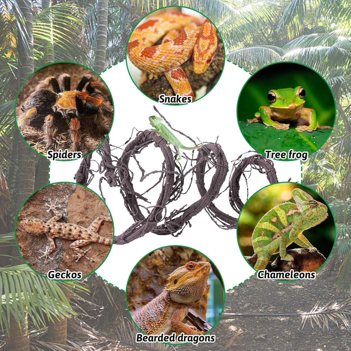 VCEPJH Large Reptile Vines Thick Terrarium Plants 118 Inches Long Flexible Climbing Branch Snake Tank Accessories Greenery Habitat Decor for Bearded Dragon Chameleon Gecko Frog Lizard (L)