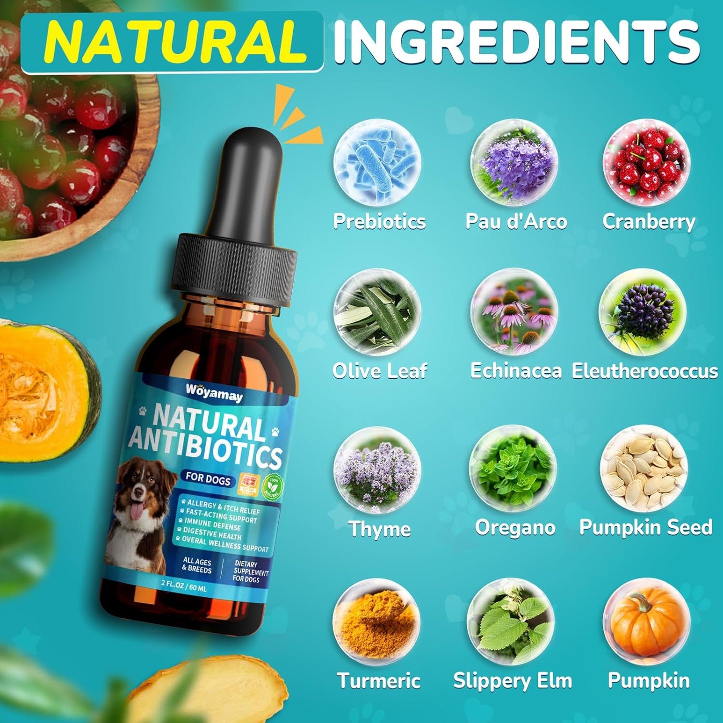 Antibiotics for Dogs | Natural Dog Antibiotics for Allergy Relief, Itch Relief, Coughs, Skin Health, Breath Treatment, Digestion | Herbal Supplement to Care for Ears, Eyes & Coat, 4 Fl Oz