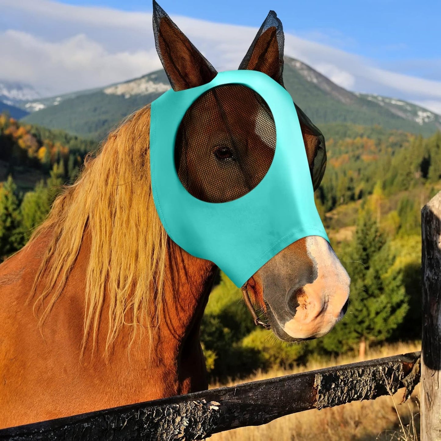 Frienda 4 Pcs Horse Fly Masks with Ears Head Fly Masks for Horses Smooth Elastic UV Protection Cover from Summer Insect Pests(Medium,Black, Gray, Blue, Mint Green)