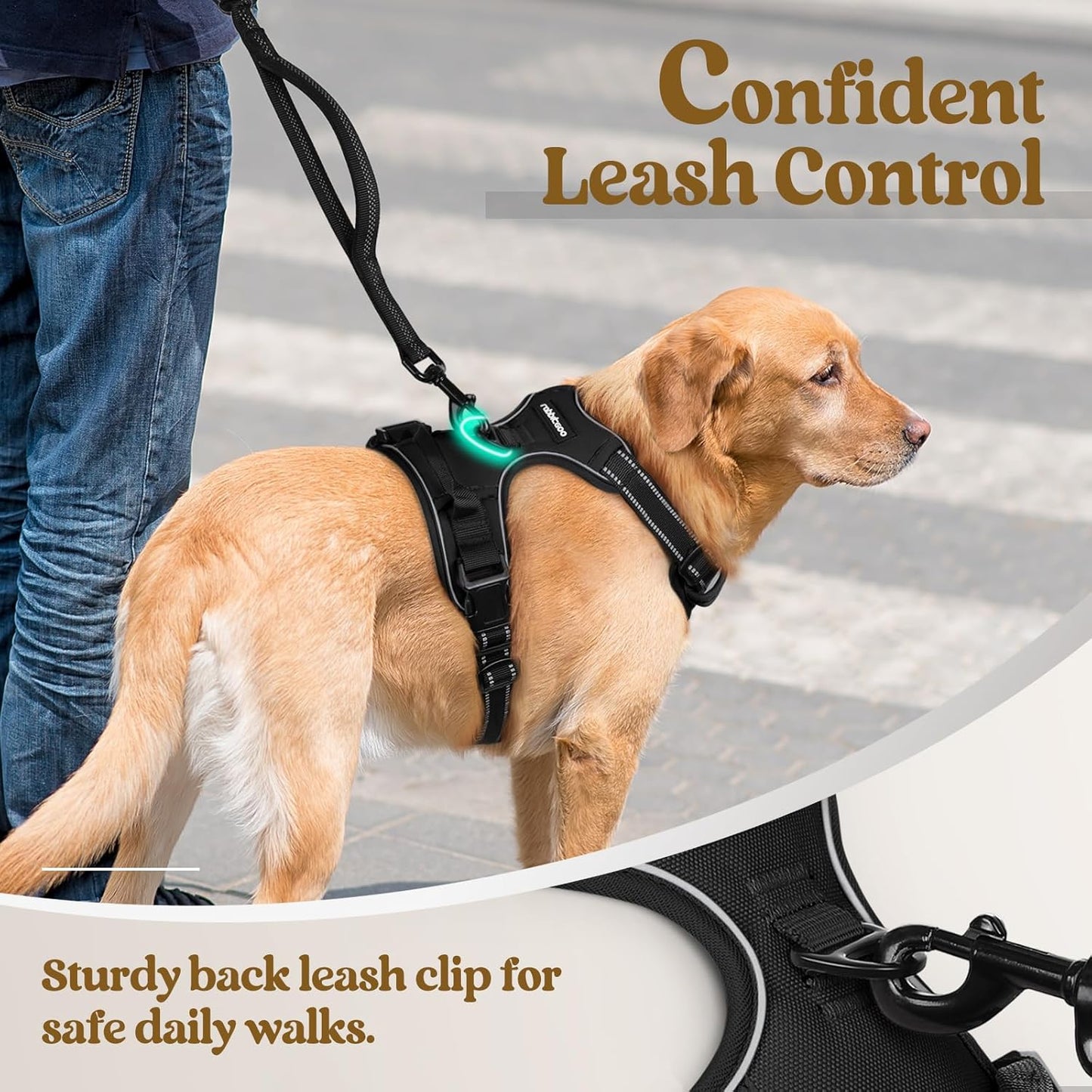 rabbitgoo Dog Harness No Pull with 2 Leash Clips, Adjustable Soft Padded, Reflective Oxford No Choke Pet Vest with Easy Control Handle for Small Dogs, Black, S