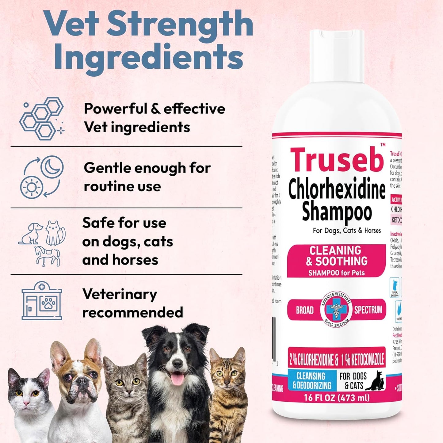 Truseb Topical Ketoconazole and Chlorhexidine Shampoo for Dogs, Cats, and Horses with Aloe - 16 oz (Ketoconazole & Chlorhexidine Shampoo, 16 oz)