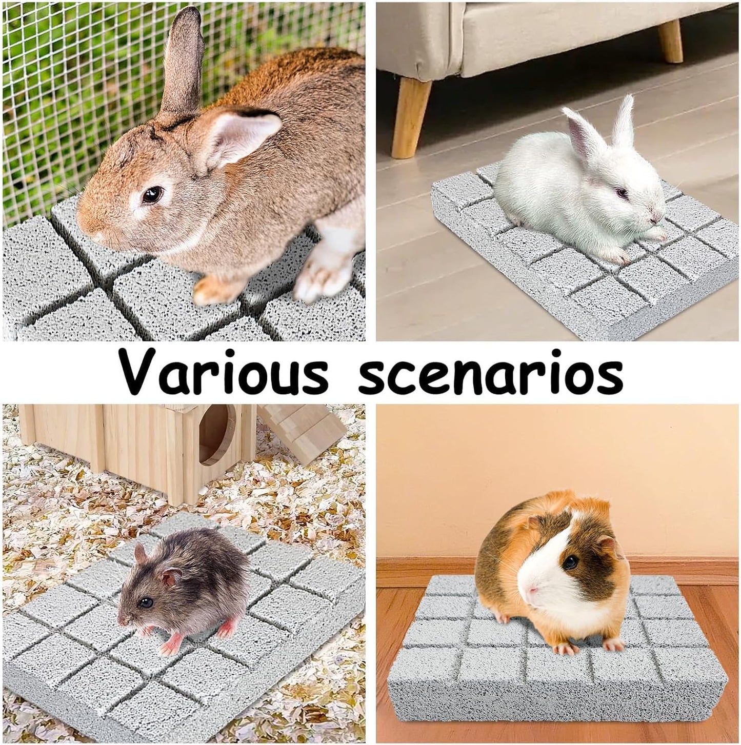 Hamiledyi 10PCS Rabbit Scratching Pad Bunny Lava Grinding Claw Board Small Animal Foot Pad Hamster Chew Toys for Gerbil Chinchilla Hedgehog Guinea Pig Cage Accessories