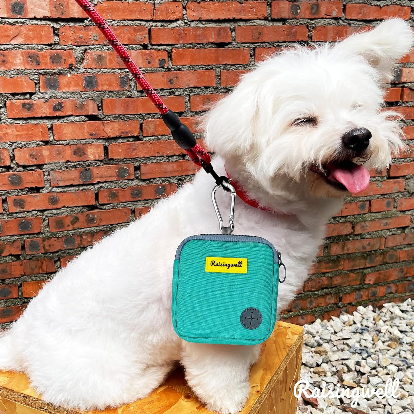 Dog Treat Pouch for Pet Walking and Training with Clicker Poop Bags Small Fanny Zipper Pack Holder for Puppy Snack Dispenser Kit for Leash and Outdoor Use (Green)