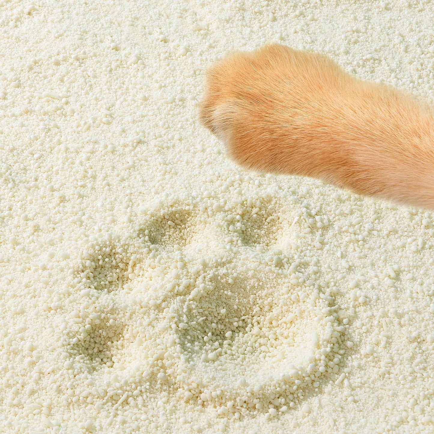 Tofu Cat Litter Natural Clumping Tofu Cat Litter 5.5lb/88oz 5 Scents (Watermelon + Wonder Litter, 2 Pack)