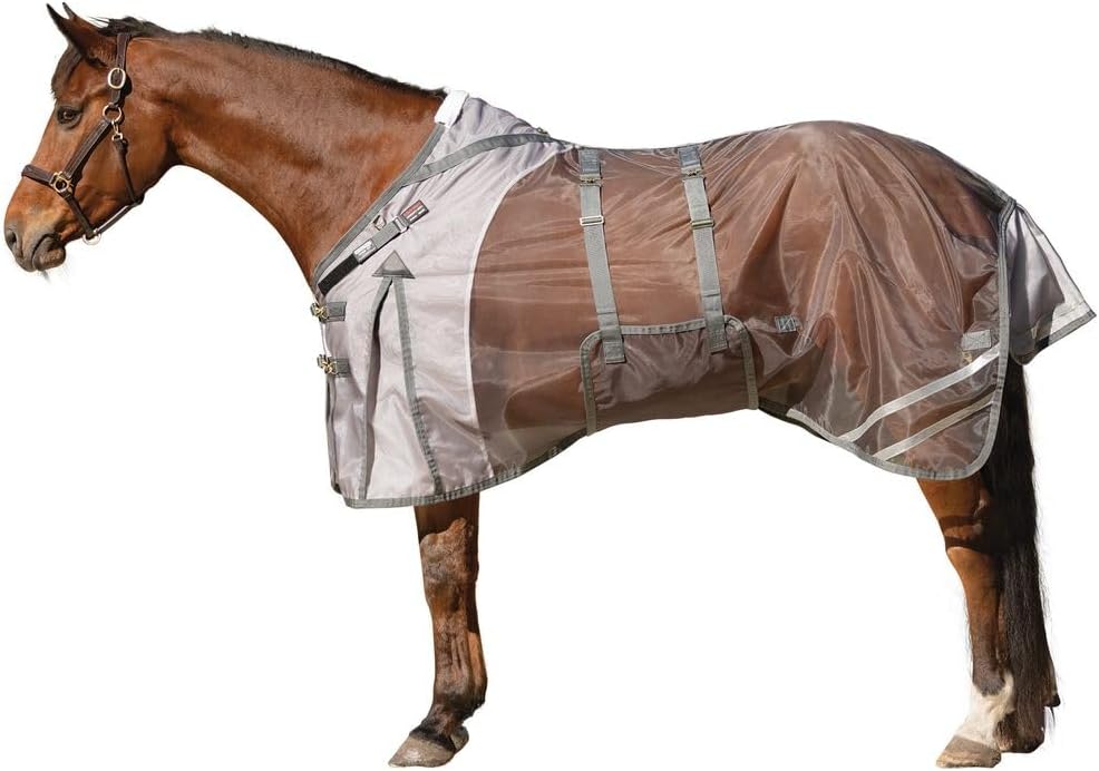 Horse Blankets & Sheets
