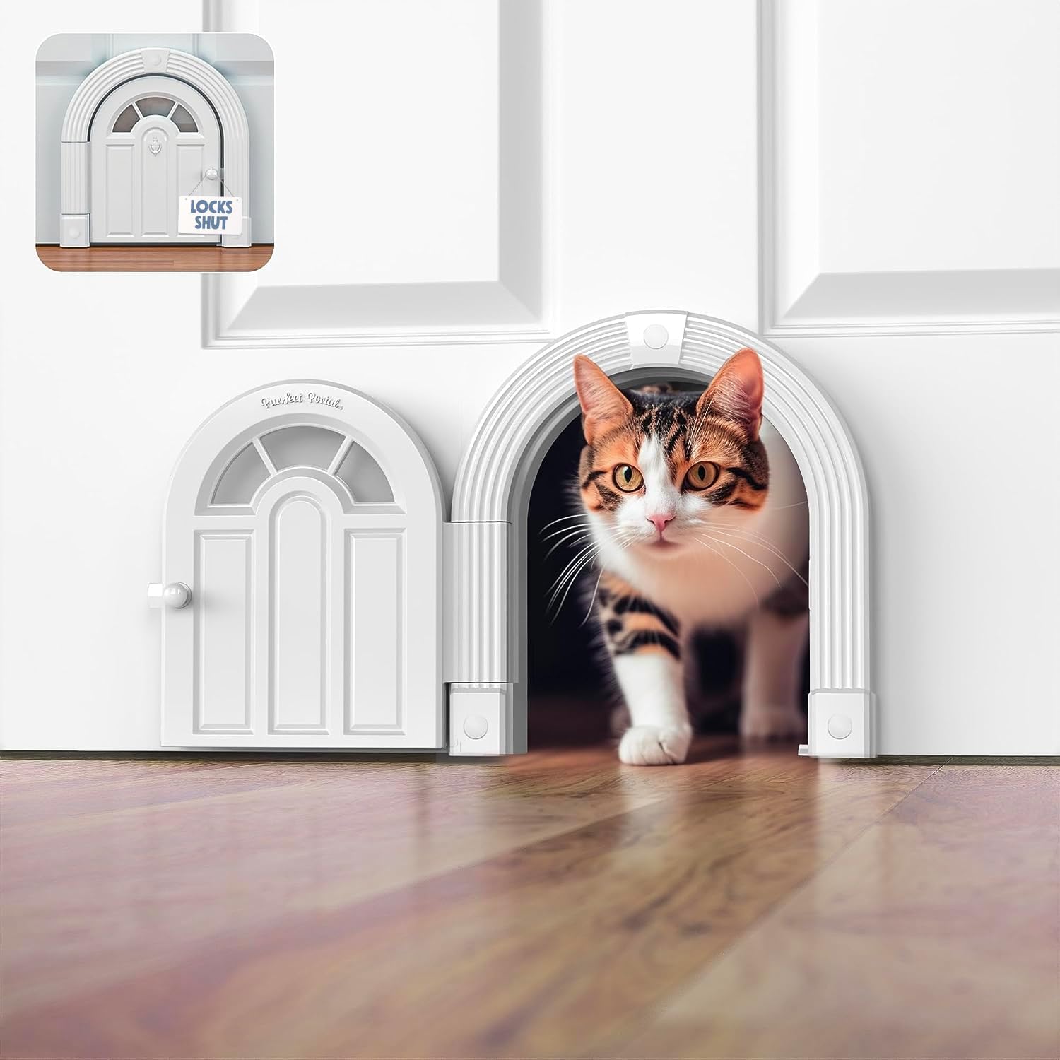 Cat Doors