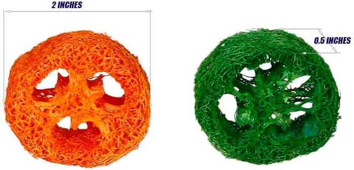 15 Pcs Fruit Flavored Loofah Slices Rabbit Chew Toys Guinea Pig Chew Toys Small Pet Chews Bunny Toys for Teeth Rabbit Toys