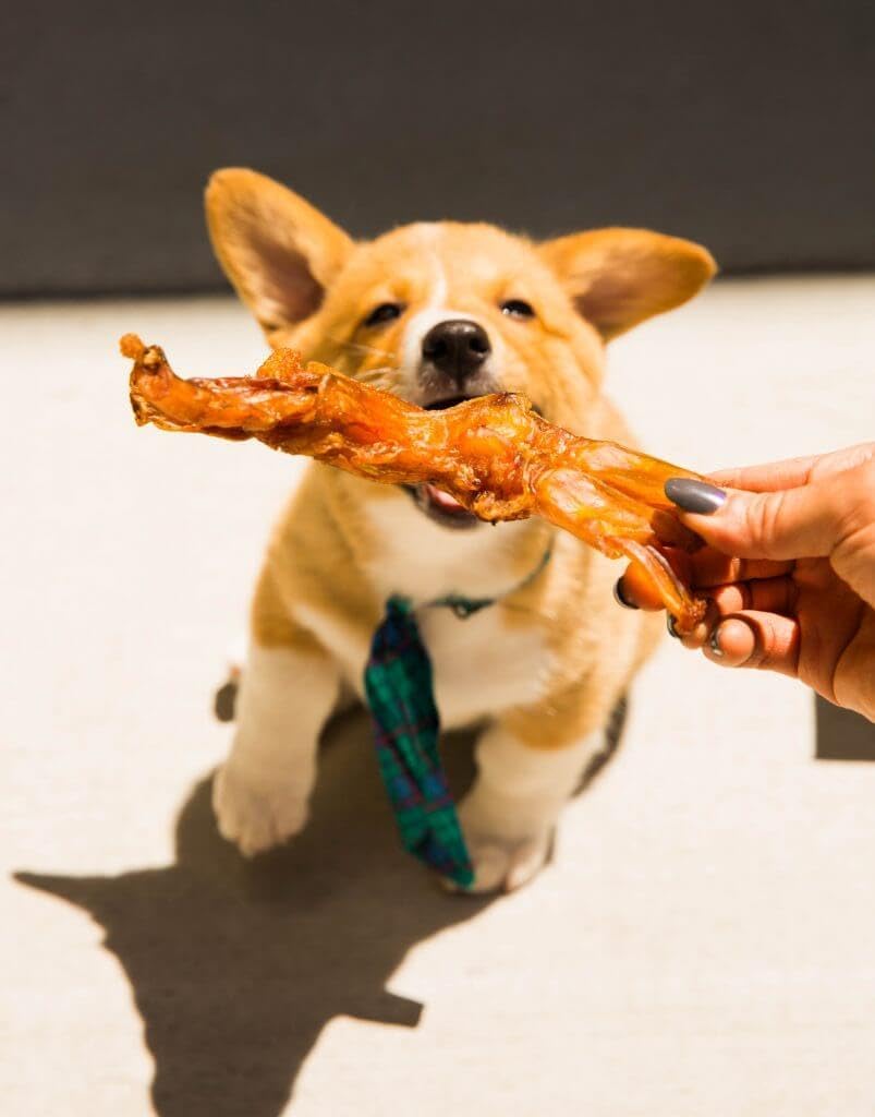 Pupford Turbo Beef Tendon Chews for Dogs & Puppies, All-Natural Dog Chew with Glucosamine for Joint Health, Long-Lasting Toy, Great for Teething (3 Count)