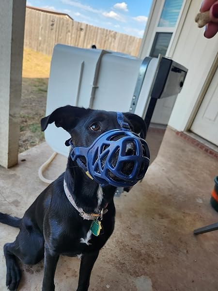 Mayerzon Dog Muzzle, Breathable Basket Muzzles for Small, Medium, Large and X-Large Aggressive Dogs Beagle German Shepherd Doberman, Cage Mouth Guard Stop Biting Chewing for Grooming Training