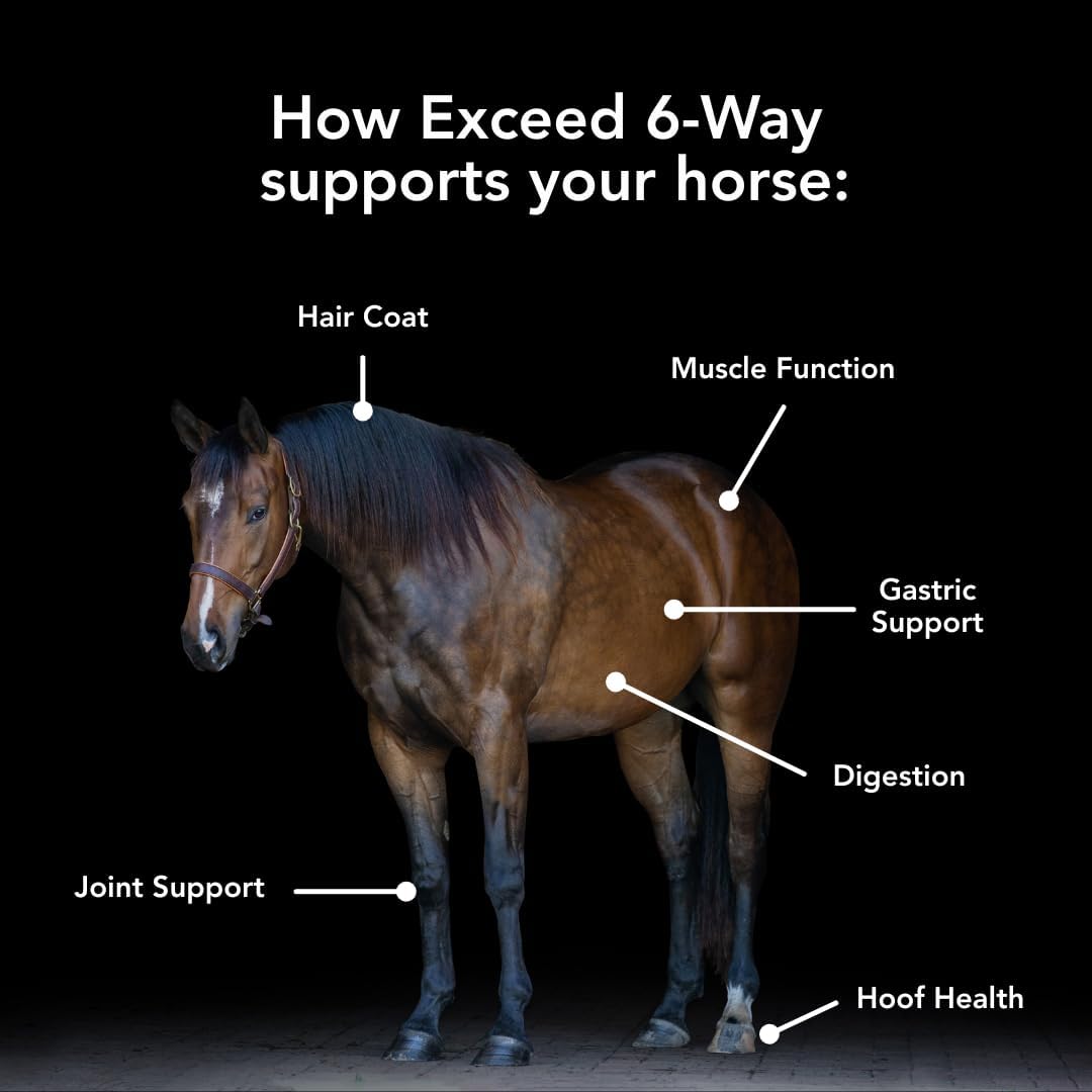 MVP Exceed 6-Way (16lb) High Level Performance Horse Support Pellets. Joint, hoof, Hair, gastric, Digestion and Muscle Support.